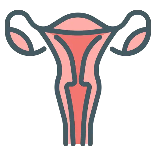 Tratamento personalizado para sa&uacute;de da mulher
